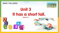 新版-牛津译林版二年级上册Unit 3 It has a short tail优质课课件ppt