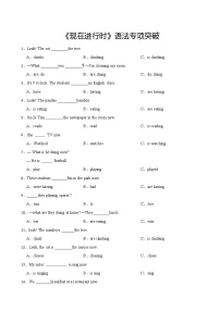 小学英语语法专项《现在进行时》练习附解析答案