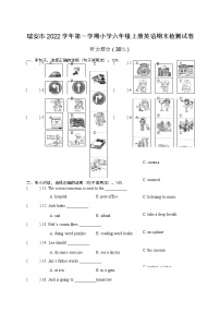 浙江省温州市瑞安市2022-2023学年上学期六年级英语期末检测试卷（含答案，含听力音频，无听力原文）