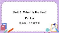 小学英语陕旅版六年级下册Unit 5 What Is He like？完整版课件ppt