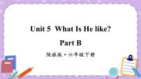 小学英语陕旅版六年级下册Unit 5 What Is He like？优质课件ppt