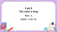 陕旅版三年级下册Unit 8 The Ruler Is Long完美版ppt课件