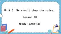 小学人教精通版Unit 3 We should obey the rules.Lesson 13优秀课件ppt