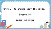 人教精通版五年级下册Unit 3 We should obey the rules.Lesson 18 Revision优秀ppt课件