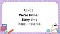 小学英语新版-牛津译林版三年级下册Unit  8  We're twins!精品ppt课件