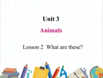 英语鲁科版 (五四制)Lesson 2 What are these?完美版课文课件ppt