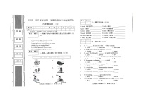 陕西省商洛市山阳县色河铺镇九年制学校2022-2023学年六年级上学期期中英语试题