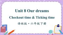 六年级下册Unit 8 Our dreams公开课ppt课件