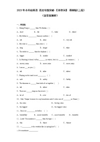 2023年小升初英语+语法专题突破-形容词+译林版（三起）（含答案解析）