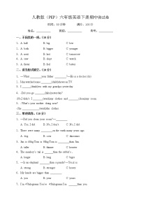 人教版(PEP)六年级英语下册期中测试卷（含答案）