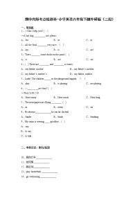 期中高频考点检测卷-小学英语六年级下册外研版（三起）