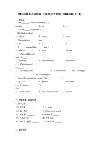 期中高频考点检测卷-小学英语五年级下册译林版（三起）