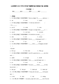 江苏地区2023学年六年级下册期中备考真题汇编-选择题（100题）Ⅰ
