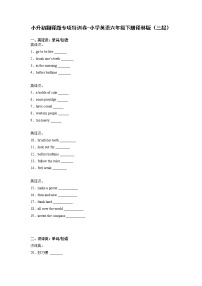 小升初翻译题专项特训卷-小学英语六年级下册译林版（三起）