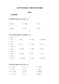 2023学年期中备考+易错知识与题型专项提优+语音题-三年级英语下学期+Unit1-4+(译林三起)