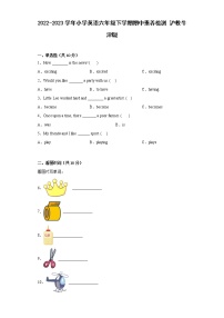 2022-2023学年小学英语六年级下学期期中素养检测+沪教牛津版（深圳）