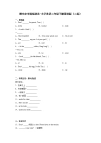 期中必考题检测卷-小学英语三年级下册译林版（三起）