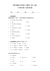 人教PEP版英语六年级下册期中专题精练学案——专题02 词汇 语音（含答案）