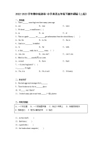 2022-2023学年期中检测卷-小学英语五年级下册外研版（三起）