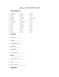 人教版(pep)六年级下册英语期中语音与词汇专项训练2（含答案）