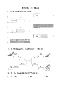 三年级下册英语测试卷- 期末达标（二） 科普版（word版，含答案）