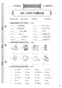 （2023春）外研版英语六年级下册-教育世家状元卷_词汇与句型专项测试卷