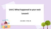 北京版六年级上册Lesson 5试讲课ppt课件