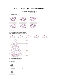 小学英语Lesson 24精品同步达标检测题