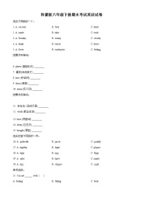 【小升初真题卷】2021-2022学年河南省商丘市睢县科普版六年级下册期末考试英语试卷（原卷版+解析版）