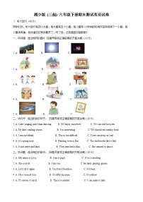 【小升初真题卷】2020-2021学年湖南省郴州市宜章县湘少版（三起）六年级下册期末测试英语试卷（原卷版+解析版）