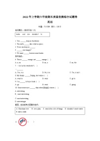 【小升初真题卷】2021-2022学年湖南省娄底市涟源市湘少版（三起）六年级下册期末测试英语试卷（原卷版+解析版）