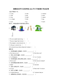 【小升初真题卷】2021-2022学年湖南省汨罗市正则学校人教PEP版六年级下册期末考试英语试卷（原卷版+解析版）