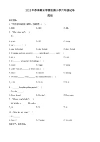 【小升初真题卷】2021-2022学年湖南省邵阳市邵阳县湘鲁版六年级下册期末学情监测英语试卷（原卷版+解析版）