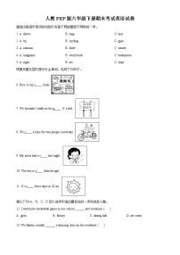 【小升初真题卷】2021-2022学年陕西省榆林市子洲县人教PEP版六年级下册期末考试英语试卷（原卷版+解析版）