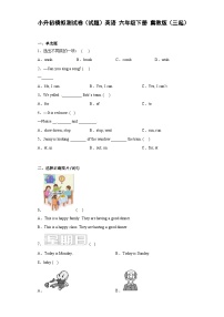 小升初模拟测试卷（试题）英语 六年级下册   冀教版（三起）