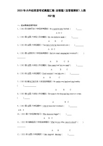 2023年小升初英语考试真题汇编 改错题（含答案解析）人教PEP版