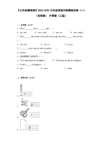 【小升初模拟卷】2022-2023小升初英语冲刺模拟试卷（一）（含答案） 外研版（三起）