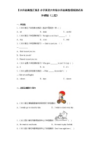 【小升初真题汇编】小学英语六年级小升初真题模拟测试卷 外研版（三起）