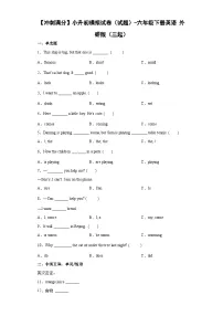 小升初模拟测试卷(试题)外研版(三起)英语六年级下册