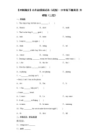 小升初模拟试卷（试题）外研版（三起）英语 六年级下册 (2)