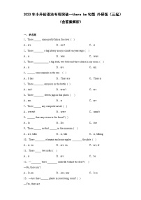 2023年小升初英语外研版三起语法专项突破：there be句型 （含答案解析）