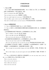 小升初英语语法专项讲解+练习学案：名词（含答案）