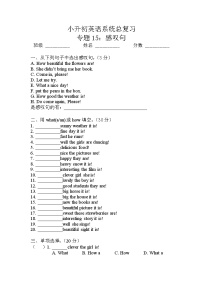 小升初英语通用版语法专项复习训练：专题15：感叹句（含答案）