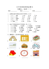 小升初英语通用版语法专项复习训练：专题4：名词（一）（含答案）