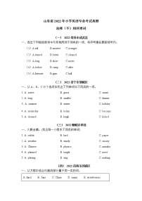 【真题汇编】2022年山东省小升初英语真题汇编——04选出（不）同类单词（含答案）