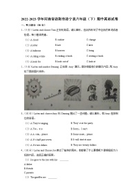 河南省洛阳市洛宁县2022-2023学年六年级下学期期中英语试卷