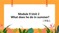 小学英语外研版 (一年级起点)二年级上册Unit 2 What does he do in summer?优质课件ppt