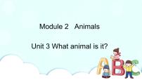 小学英语教科版 (广州)六年级下册Module 2 AnimalsUnit 3 What animal is it?获奖课件ppt
