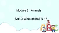 英语六年级下册Unit 3 What animal is it?优秀课件ppt