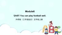 外研版 (三年级起点)Unit 1 You can play football well.获奖ppt课件